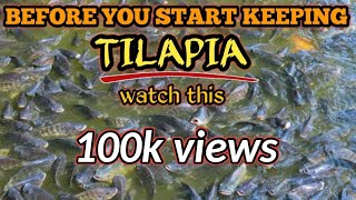 MGA KAILANGAN BAGO MAG ALAGA NG TILAPIA | MY TIPS & SUGGESTIONS bago ka mag alaga | Migo Ilonggo