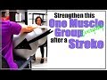 Stroke Exercise: Core Strengthening