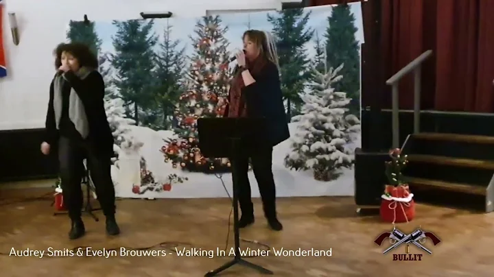 Audrey Smits & Evelyn Brouwers - Walking In A Wint...