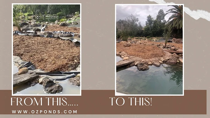 Hiding pond liner| DIY pond build