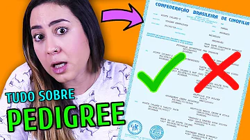 Como consultar um registro de pedigree?