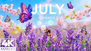 Summertime Splendor 4K | Dancing Butterflies & Sun-Kissed Flower Fields 🌸 A Magical Summer Journey