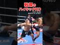 無慈悲な恐怖のハイキックKO #shorts #ハイキック #ko #格闘技