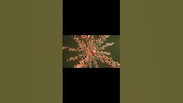 Created this with blender geometry  evee engine