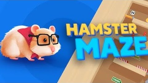 Hamster maze - Level 1-10 gameplay walkthrough