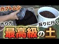 カブトムシにとってこれが最高の土なんです！しかもタダ【採り方と作り方】