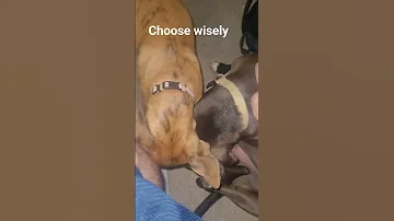 You Get To Choose Your Direction 