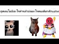 ช็อตฟิวส์