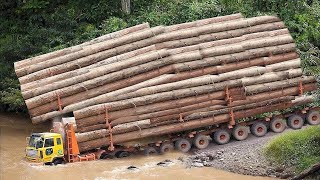 CAMIONES ENORMES Transportando MADERA | OPERADORES Peligrosos EXTREMOS