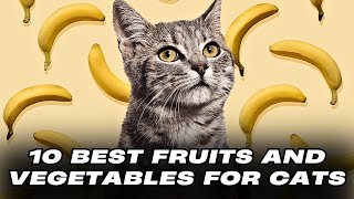 10 Best Fruits and Vegetables for Cats by Pets Life 38 views 2 months ago 8 minutes, 2 seconds