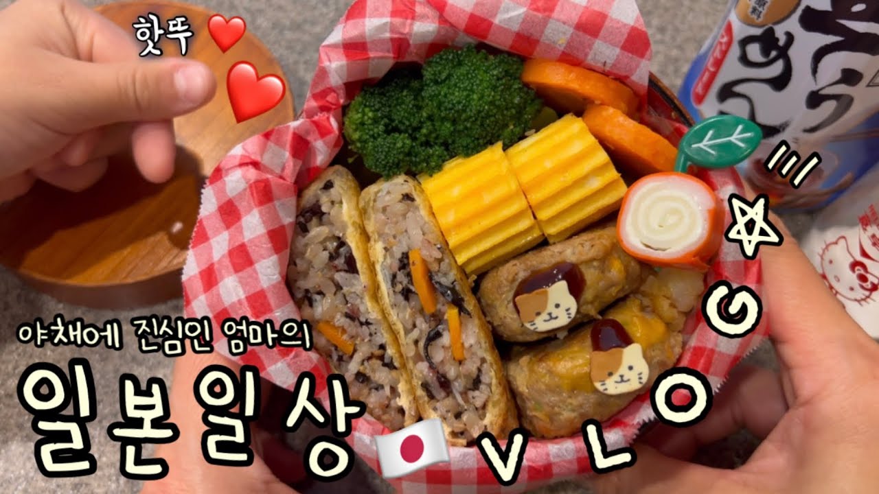 NO편식🖐️ 야채에 진심 도시락 🥬 EMS 테트리스 | 코스트코 장보고 삼계탕 만들어 먹방 | 보리랑 산책하는 일상 브이로그 🐶