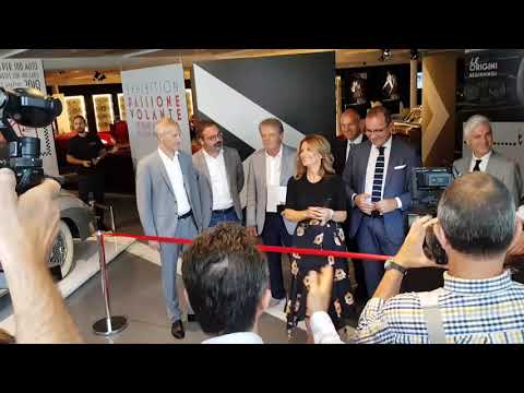 Video: Come Sarà L'inaugurazione Della Mostra 