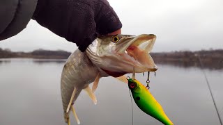 Этот воблер косит щуку после двух месяцев под водой! Речка Вир!