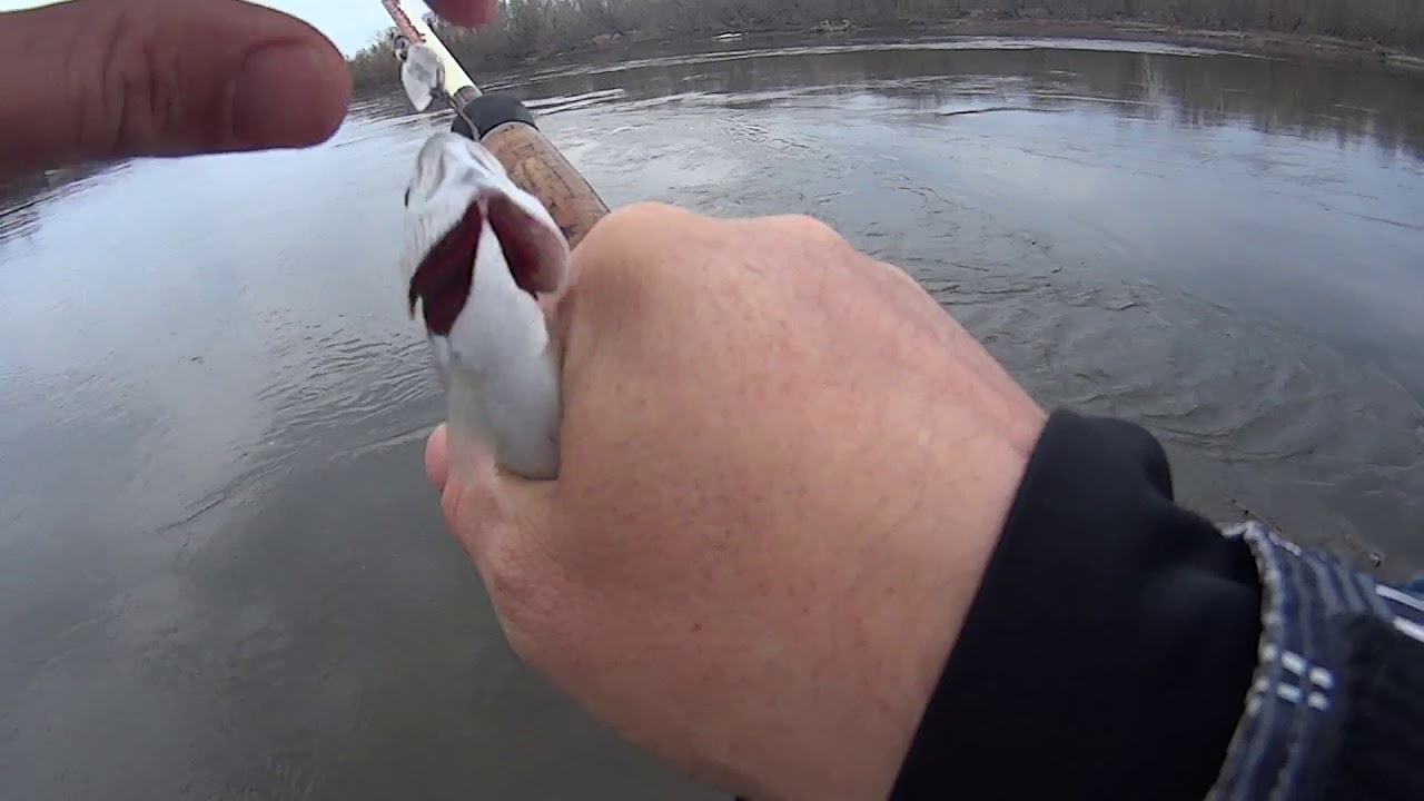 ловля гольца на блесну Kosadaka Trout Police Lucky Drop , на Камчатке