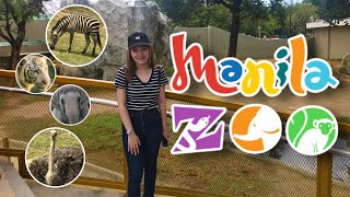 MANILA ZOO 2023 UPDATE! Full Walking Tour - Zoo Experience | Philippines (VLOG)