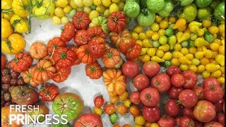 Basic Tomato Sauce: Italys Classic al Pomodoro  |  Fresh P