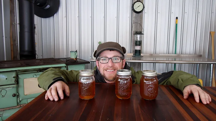 How much syrup do you get from a gallon of sap? (2025)