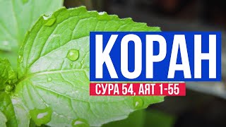 Коран. Сура 54. Аят 1-55 💎 Мусульманские цитаты со смыслом