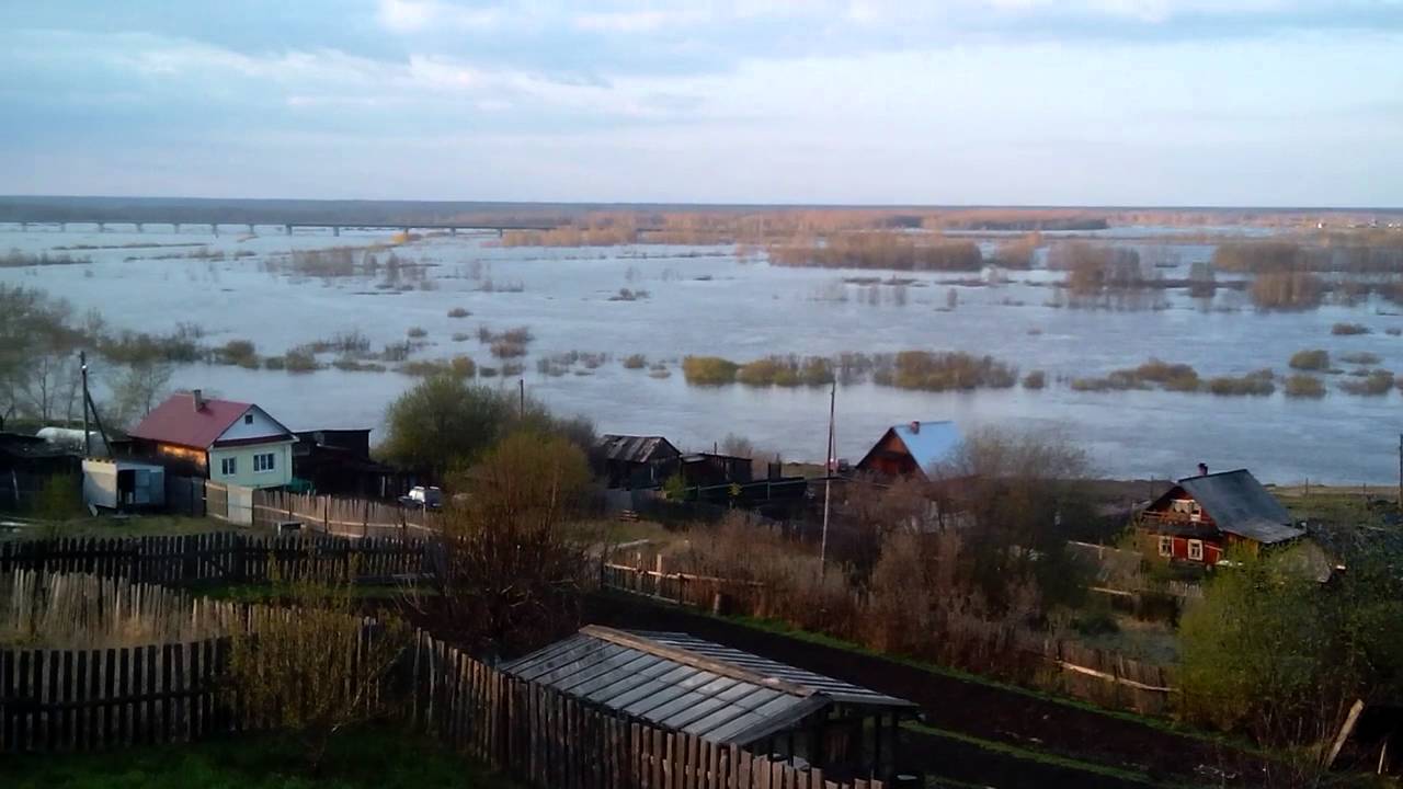 Уровень воды в туринске сегодня