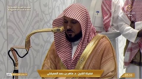 صلاة الفجر الخميس 29-5-1447هـ الشيخ ماهر المعيقلي    -    فواتح سورة غافر ￼ [1 - 20]