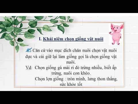 Công nghệ 7: Chủ đề chọn lọc giống vật nuôi