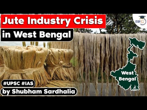 What Is The Raw Material Of Jute