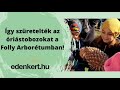 Mutatjuk, hogyan szüretelték idén a tobozokat a Folly Arborétumban!