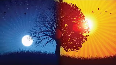 528Hz Release Inner Conflict & Struggle, Anti Anxiety Cleanse, Release Worry, Anxiety