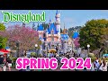 Disneyland Spring 2024 Walkthrough: Alice in Wonderland, Disneyland Ducks & Characters [4K POV]