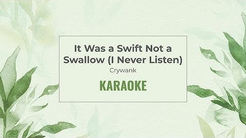 It Was a Swift Not a Swallow - Crywank [Karaoke]