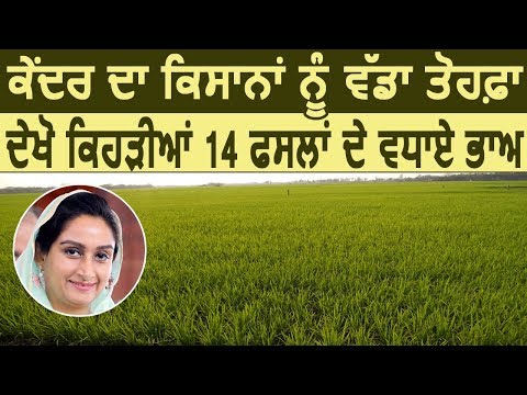 Modi सरकार का Farmers को बड़ा Gift, जानिए कौन सी 14 Crops के बढ़ाए Rates