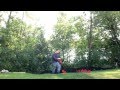 Day at Work Vlog #2 - The Turkeys Destroy my Sod!