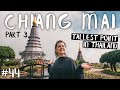 Even BETTER things to do in Chiang Mai // MUAY THAI, COOKING CLASS, LANTERN FESTIVAL (part 3 of 3)