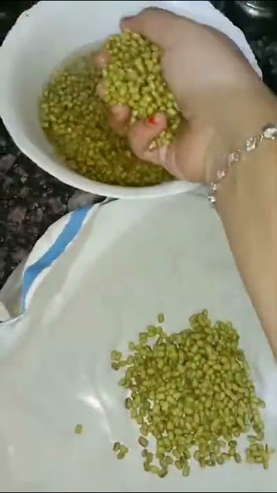 pasi payaru mulai kattuvathu eppadi | how to make sprouts at home