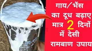 गाय/भैंस का दूध बढ़ाए मात्र 2 दिनों में | Doodh bdhane ka tarika | How to increase cow/buffalo milk