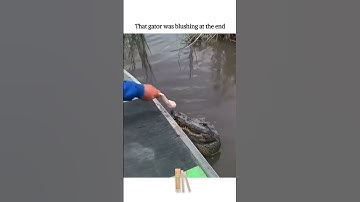 That gator was blushing at the end.