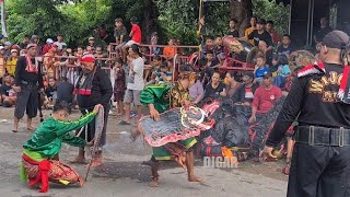 Rampokan Celeng Srenggi Jaranan WIJOYO PUTRO Live Wonojoyo Kediri