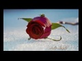 اغنيه قطريه