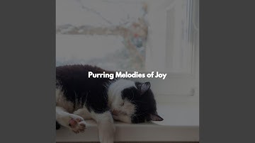 Subtle Moods for Open Work Floors