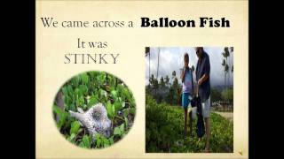 Generativity Project-Acoba