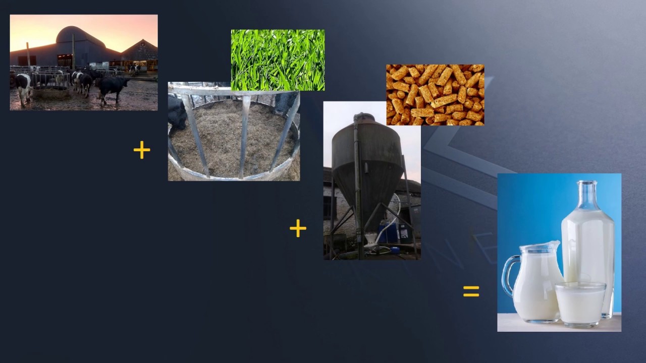 How to use Kinesis Money: Farmer