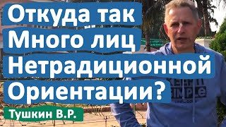 ОТКУДА В НАШЕ ВРЕМЯ СТОЛЬКО ЛИЦ НЕТРАДИЦИОННОЙ ОРИЕНТАЦИИ? • ВАСИЛИЙ ТУШКИН