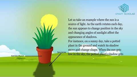 What is Shadow- Every Day Science