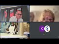 Экзотические кошки - редкая сейчас порода, хоть она одна из старейших пород в мире.