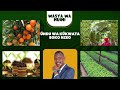 WASYA WA MUIMI UNDU WA KUKWATA SOKO NZEO WASYA WA MUIMI UNDU WA KUKWATA SOKO NZEO