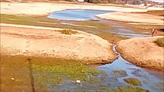 Dans Les Vosges Le Lac De Bouzey A Sec