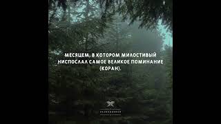 ПОЭМА ИБН РАДЖАБА АЛЬ ХАНБАЛИ | С ПЕРЕВОДОМ