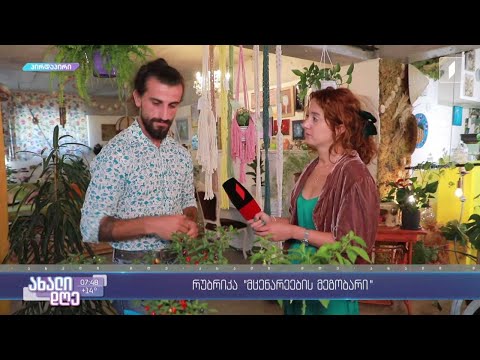 #ახალიდღე რუბრიკა „მცენარეების მეგობარი“ - როგორ მოვუაროთ წიწაკას