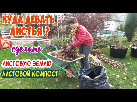 Видео: Добавяне на нов кученце към пакета