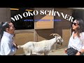 ARE YOU READY WITH JOANNE MOLINARO EP 49: A Chat with Miyoko Schinner @thevegangoodlifewithmiyoko